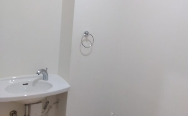 トイレ内手洗い