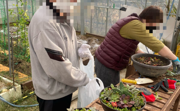 多肉寄せ植えの会