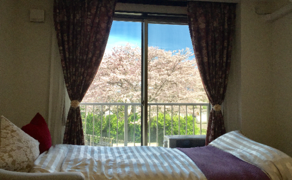 春には桜が見えるお部屋