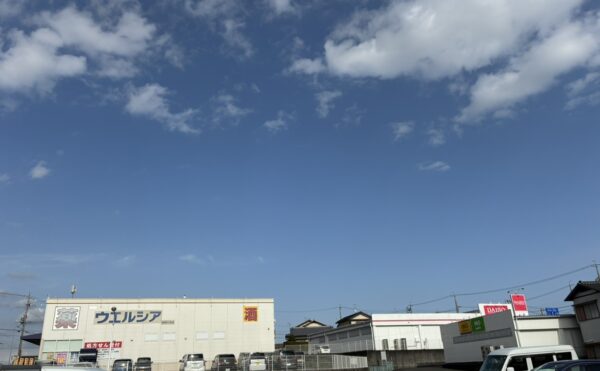 薬局とダイソーも徒歩での近さ